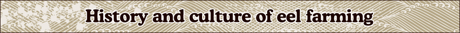 History and culture of eel farming