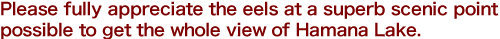 Please fully appreciate the eels at a superb scenic point possible to get the whole view of Hamana Lake.