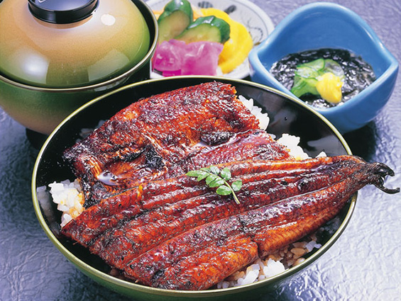 Chuo-ku Eel & Japanese cuisine Matsunoya